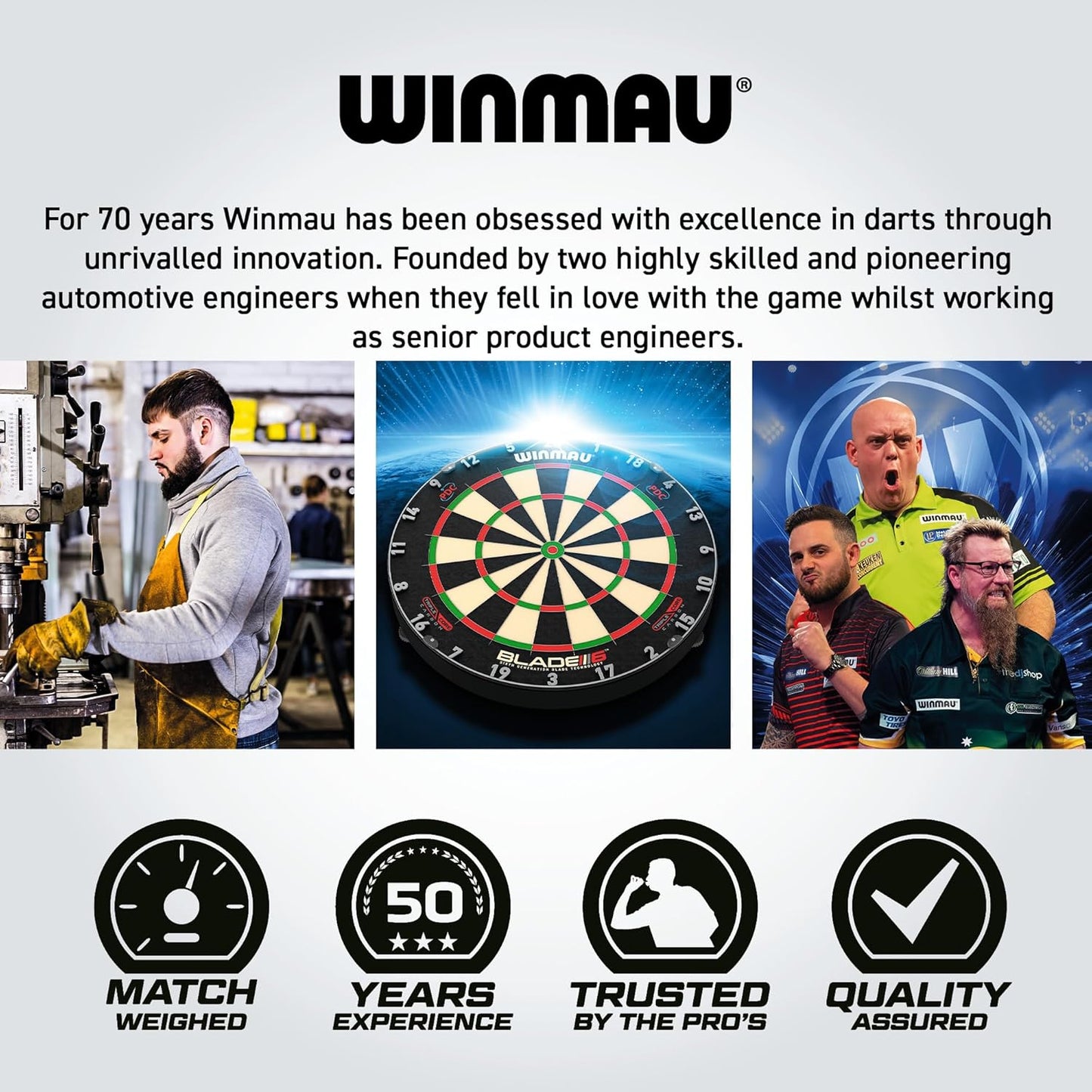 Printed Blue Dartboard Surround