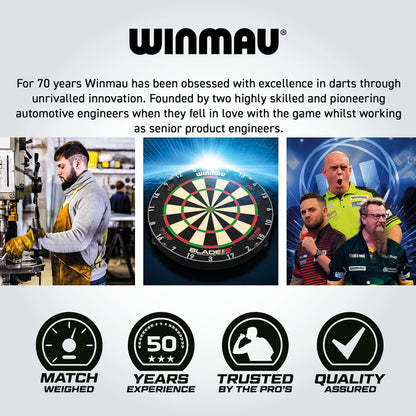 Printed Blue Dartboard Surround