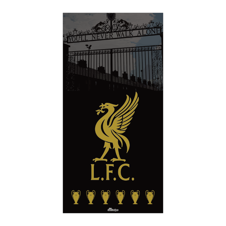 Liverpool YNWA dartboard backboard back drop