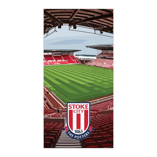 Stoke City Dartboard Backboard