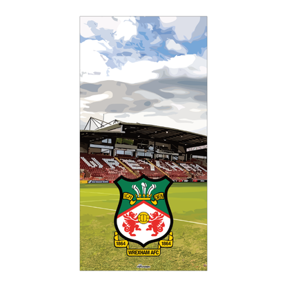 Wrexham AFC Dartboard Backboard